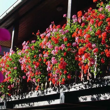 Gites-weyer N°1 Apartament